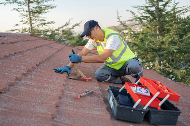Best Roof Gutter Cleaning  in Maryland City, MD